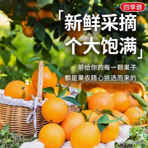 适合人群:喜爱新鲜水果的家庭人士,注重健康的年轻人,一切追求高品质