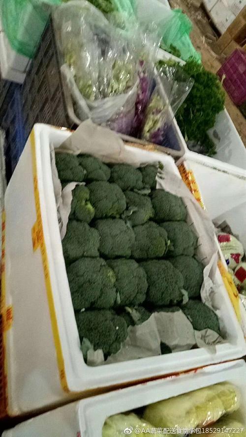 专业为各饭店餐馆幼儿园酒店工厂食堂配送新鲜蔬菜水果价格便宜
