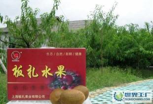 板扎果业新鲜猕猴桃(奇异果)4斤装 包甜【大型果】_农副产品_世界工厂网中国产品信息库